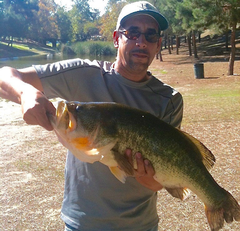 12 Pound Bass caught at Puddingstone Reservoir