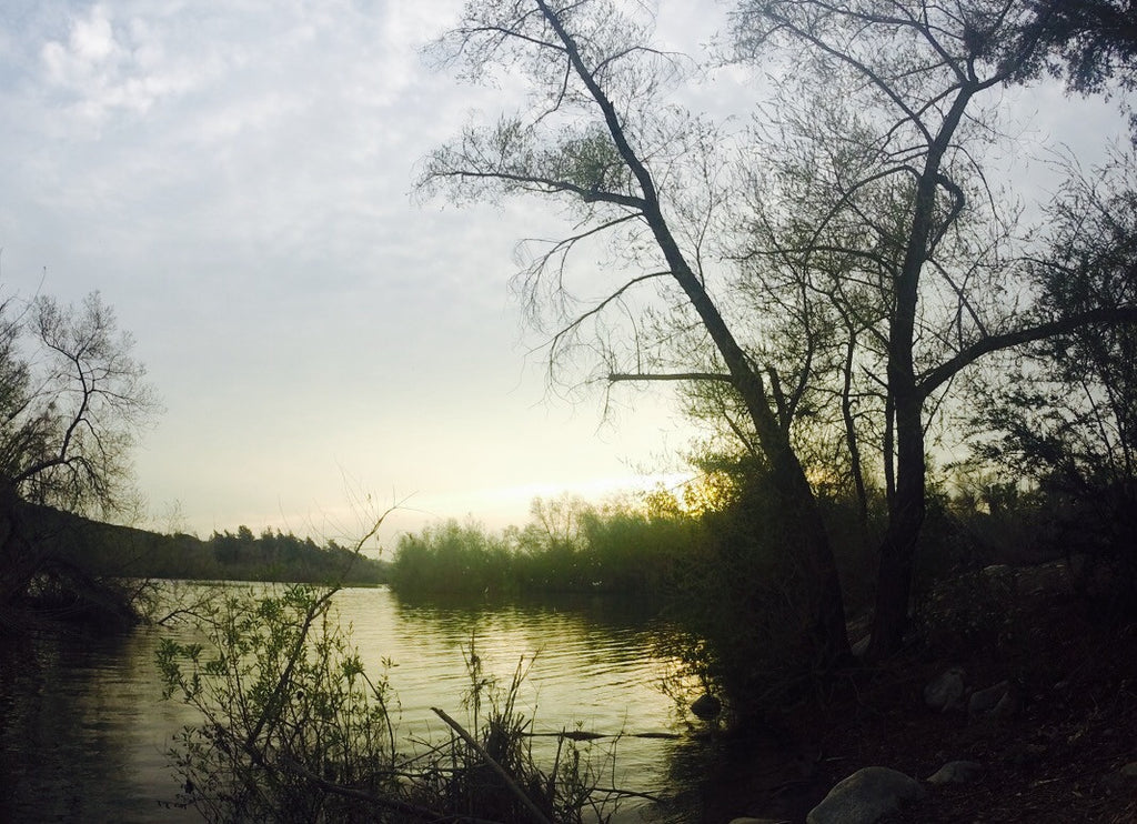 Difficult cast at Bonelli Park