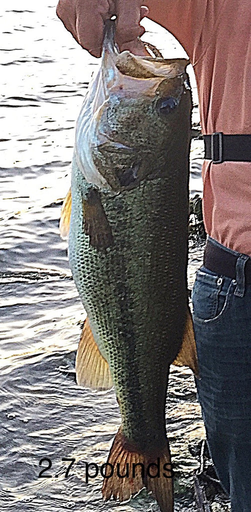 Skunk Beater by Bass in the Hood