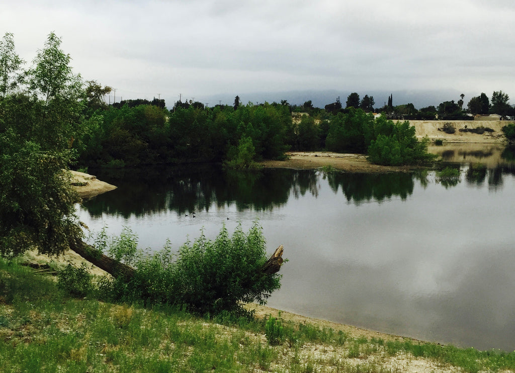 Peck Road Park Lake