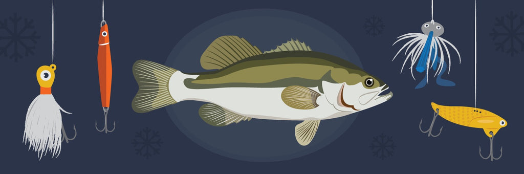 Winter Bass Fishing Strategies